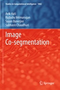 Cover: Image Co-segmentation - Springer