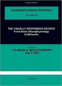 Enlarge image Cover: The Visually Responsive Neuron - Elsevier