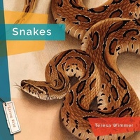 Enlarge image Cover: Snakes - Creative Education