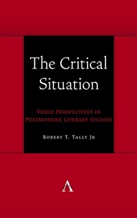 Enlarge image Cover: The Critical Situation - Anthem Press