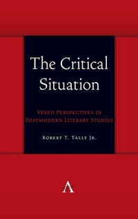 Enlarge image Cover: The Critical Situation - Anthem Press