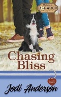 Cover: Chasing Bliss - Parker Hayden Media