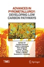Cover: Advances in Pyrometallurgy - Springer