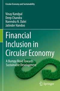 Enlarge image Cover: Financial Inclusion in Circular Economy - Springer