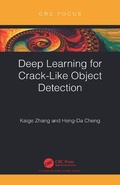 Bild: Deep Learning for Crack-Like Object Detection - CRC Press