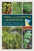 Cover: Ferns and Lycophytes of Minnesota - University of Minnesota Press