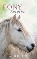 Cover: Pony Surprise - Jane Badger Books