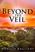 Cover: Beyond the Veil - Next Chapter