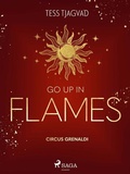 Cover: Go up in Flames - Saga Egmont B&uuml;cher