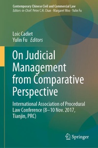 Abbildung von: On Judicial Management from Comparative Perspective - Springer