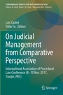 Cover: On Judicial Management from Comparative Perspective - Springer