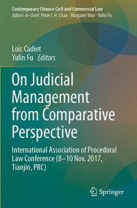 Abbildung von: On Judicial Management from Comparative Perspective - Springer