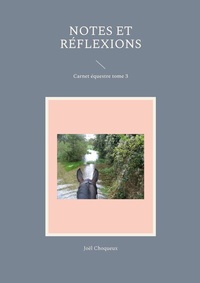 Abbildung von: Notes et réflexions - NOTES ET RÉFLEXIONS