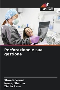 Enlarge image Cover: Perforazione e sua gestione - Edizioni Sapienza