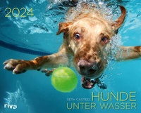 Abbildung von: Hunde unter Wasser 2024 - Riva