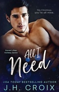 Cover: All I Need - Frisky Fox Publishing, LLC
