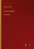 Cover: The Iron Puddler - Outlook Verlag