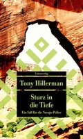 Cover: Sturz in die Tiefe - Unionsverlag