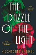 Cover: The Dazzle of the Light - Verve Books