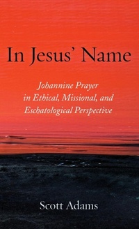 Enlarge image Cover: In Jesus' Name - Pickwick Publications
