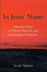 Enlarge image Cover: In Jesus' Name - Pickwick Publications