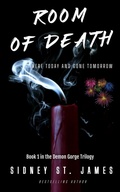 Cover: Room of Death - Here Today and Gone Tomorrow (Demon Gorge Trilogy, #1) - Beebop Publishing Group