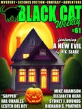 Cover: Black Cat Weekly #61 - Wildside Press