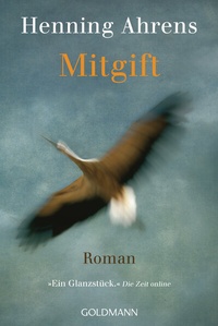 Abbildung von: Mitgift - Goldmann