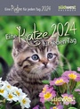 Bild: Eine Katze für jeden Tag 2024 - Tagesabreißkalender zum Aufstellen oder Aufhängen - Südwest