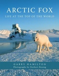 Cover: Arctic Fox - Firefly Books Ltd