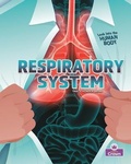 Cover: Respiratory System - Crabtree Publishing Co,Canada