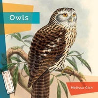 Enlarge image Cover: Owls - Creative Education and Creative Paperbacks