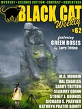 Cover: Black Cat Weekly #62 - Wildside Press