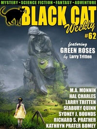 Enlarge image Cover: Black Cat Weekly #62 - Wildside Press