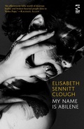 Cover: my name is abilene - Salt Publishing