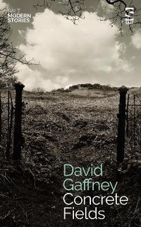 Enlarge image Cover: Concrete Fields - Salt Publishing