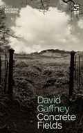 Cover: Concrete Fields - Salt Publishing