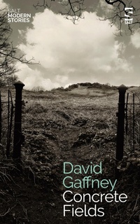 Enlarge image Cover: Concrete Fields - Salt Publishing