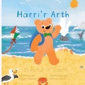Cover: Harri'r Arth a'i Antur i'r Traeth - Rowanvale Books