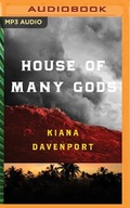 Cover: House of Many Gods - Audible Studios on Brilliance