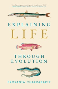 Abbildung von: Explaining Life through Evolution - MIT Press