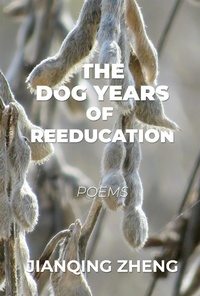 Enlarge image Cover: The Dog Years of Reeducation - Madville Publishing