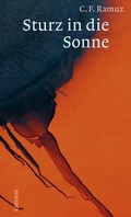 Cover: Sturz in die Sonne - Limmat