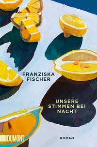 Abbildung von: Unsere Stimmen bei Nacht - DuMont Buchverlag