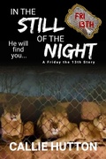 Cover: In the Still of the Night - Callie Hutton