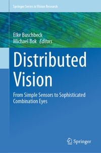 Abbildung von: Distributed Vision - Springer