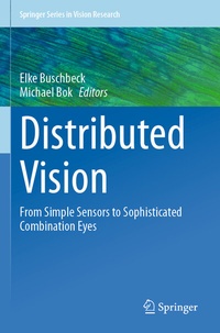 Abbildung von: Distributed Vision - Springer