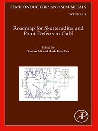 Enlarge image Cover: Roadmap for Skutterudites and Point Defects in GaN - Academic Press