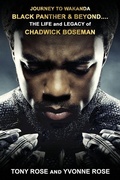 Cover: Journey to Wakanda, Black Panther & Beyond .... - IngramSpark