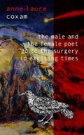 Cover: The Male and the Female Poet Go to the Surgery in Exciting Times - Blue Diode Publishing
